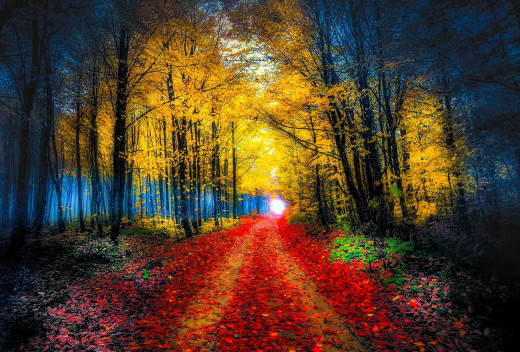 1755488 (a): :1920x1297